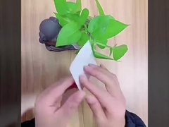 condimento elastico semi-trasparente del film